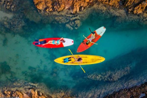 体育生高考文化课培训方案汇总(图1)